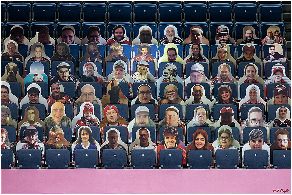 PENNY DEL;  Koelner Haie - Fischtown Pinguins Bremerhaven; Koeln, 12.02.2021